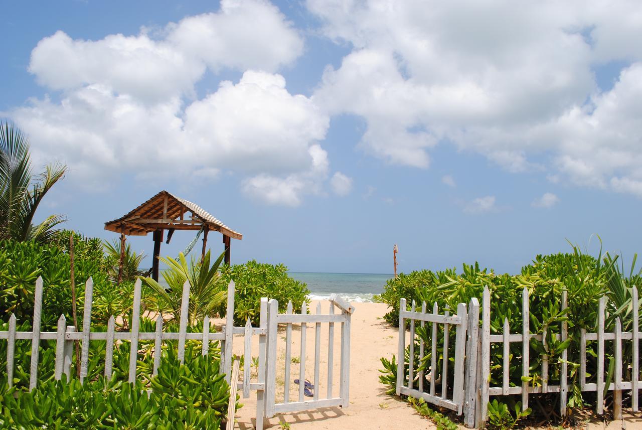 Asha Beach & Spa แทนกาลเล ภายนอก รูปภาพ